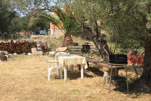Apartments By The Sea Luka, Dugi Otok - 8151
