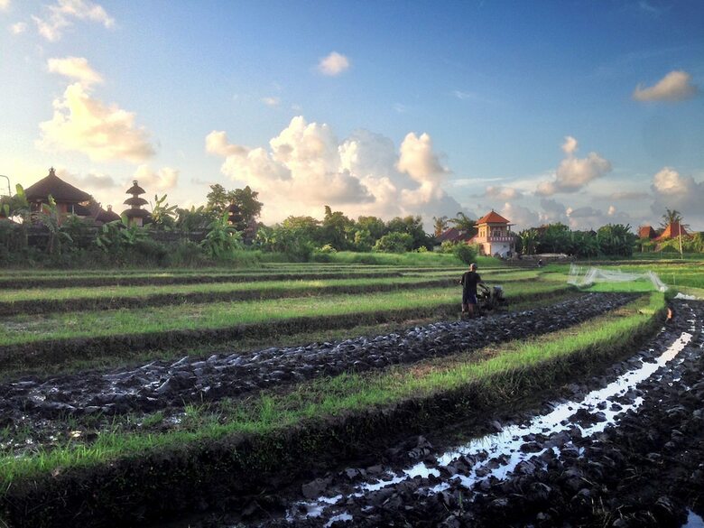 Hotel Oasis Canggu Bali