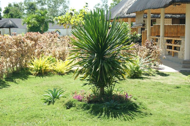 Apartamento Panglao Homes Resort & Villas