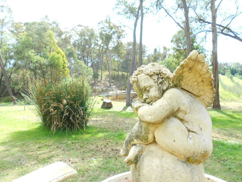 Countryside Connections Tranquil Studio