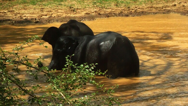 Heina Nature Resort & Yala Safari