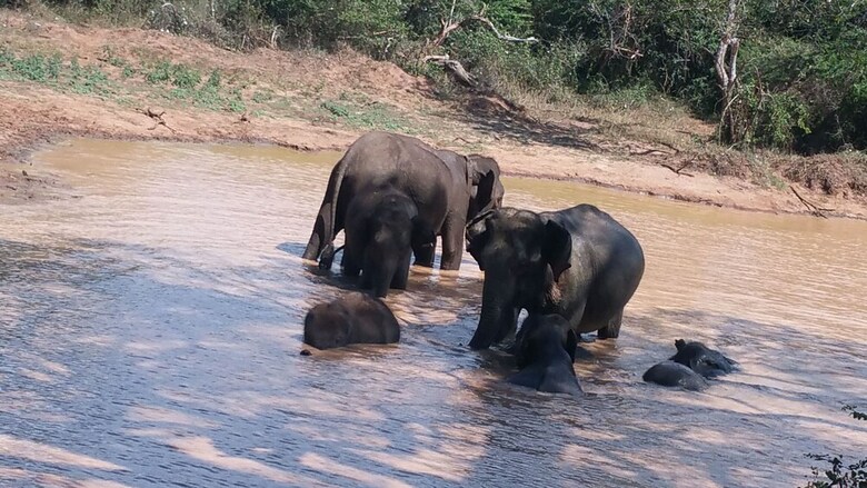Heina Nature Resort & Yala Safari