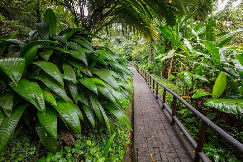 Apartamento Lost Iguana Resort And Spa