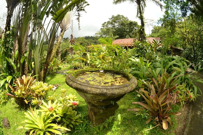Apartamento Lost Iguana Resort And Spa