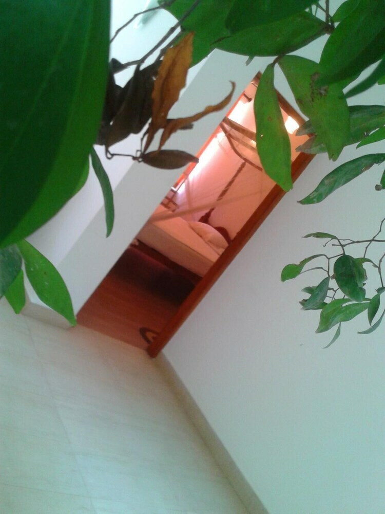 Hotel Nooit Gedacht Holiday Resort