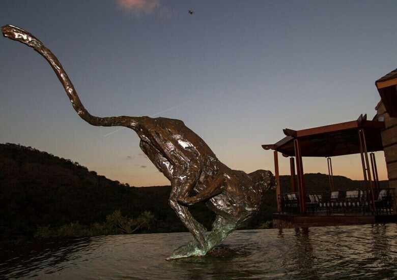 Hotel Lejwe La Metsi Game Farm Pty Ltd