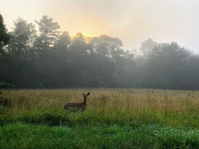 Hotel Catskill Mountains Resort
