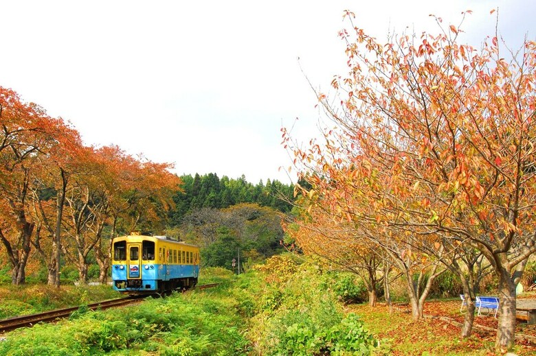 Chokai Sarukura Onsen Hotel Foresta Chokai