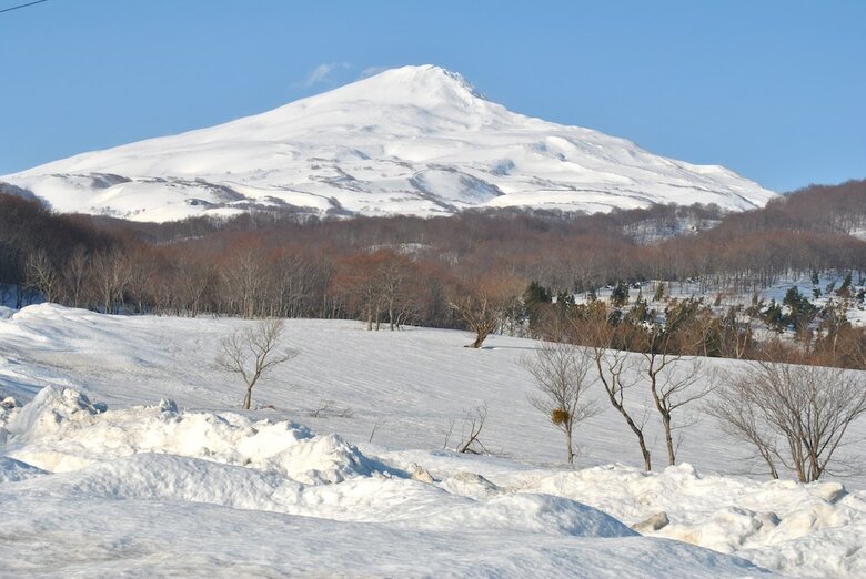 Chokai Sarukura Onsen Hotel Foresta Chokai