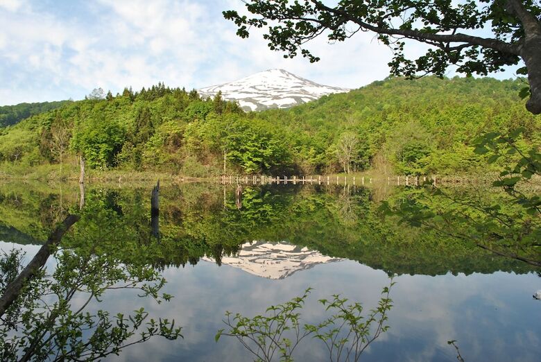 Chokai Sarukura Onsen Hotel Foresta Chokai