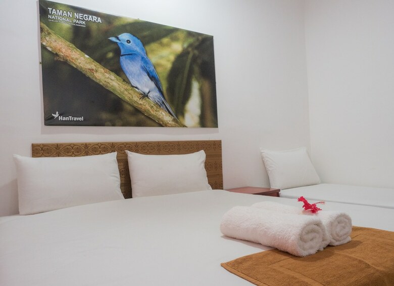Hotel Han Rainforest Resort