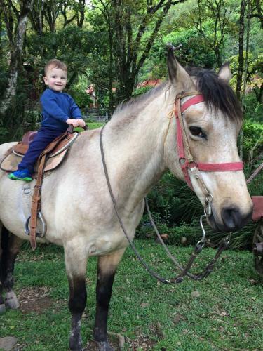 Lodge Chal�s Fam�lia Fioreze