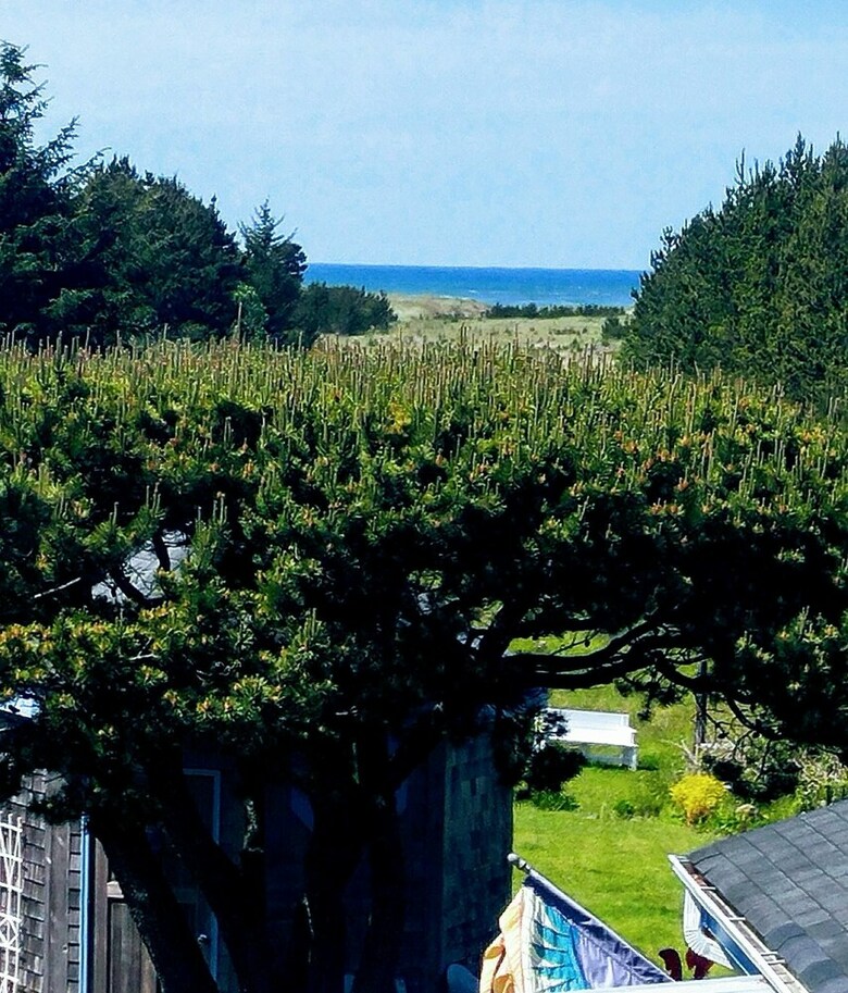 Boreas Bed & Breakfast Inn