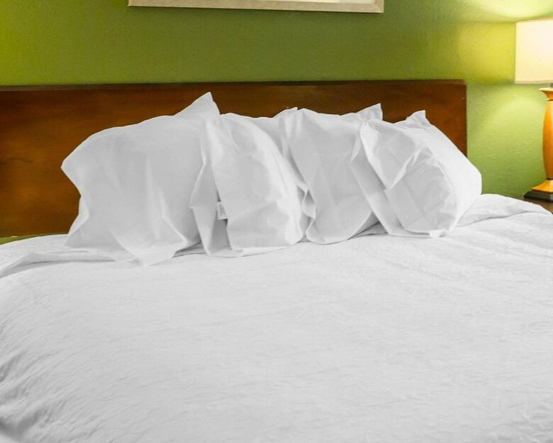 Hotel Econo Lodge North