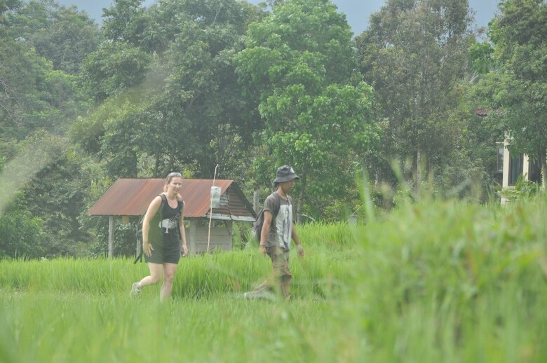 Hotel Tepi Sawah Lodge
