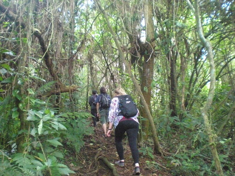 Hotel Tepi Sawah Lodge