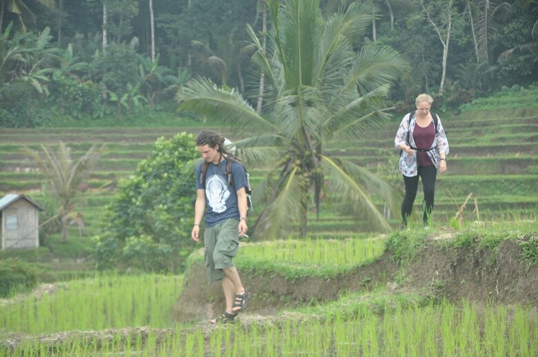 Hotel Tepi Sawah Lodge