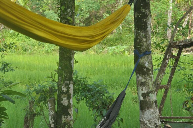 Hotel Tepi Sawah Lodge