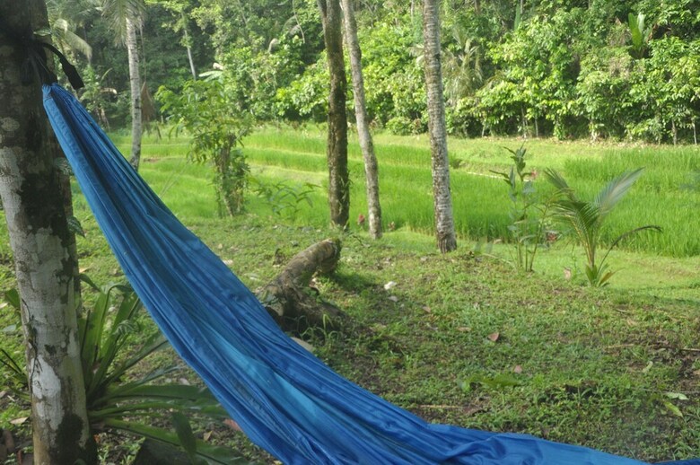 Hotel Tepi Sawah Lodge