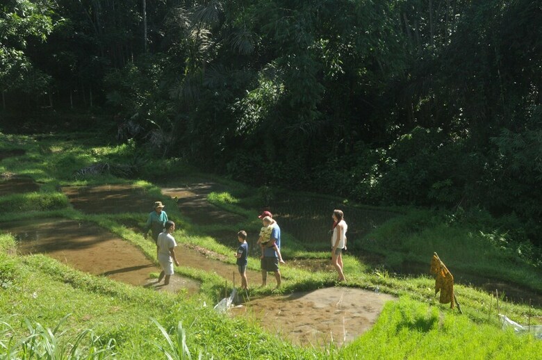 Hotel Tepi Sawah Lodge
