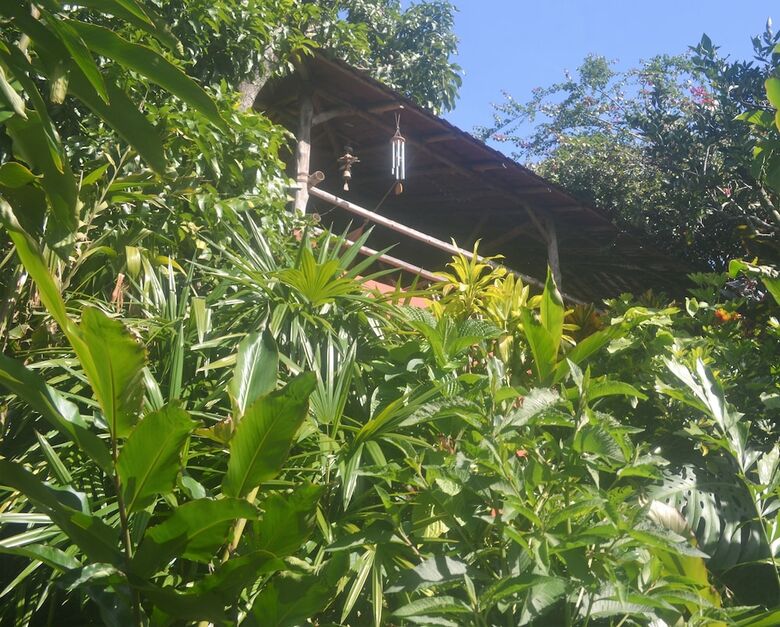 Bed & Breakfast Eden Atenas