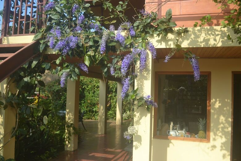 Bed & Breakfast Eden Atenas