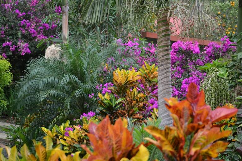 Bed & Breakfast Eden Atenas
