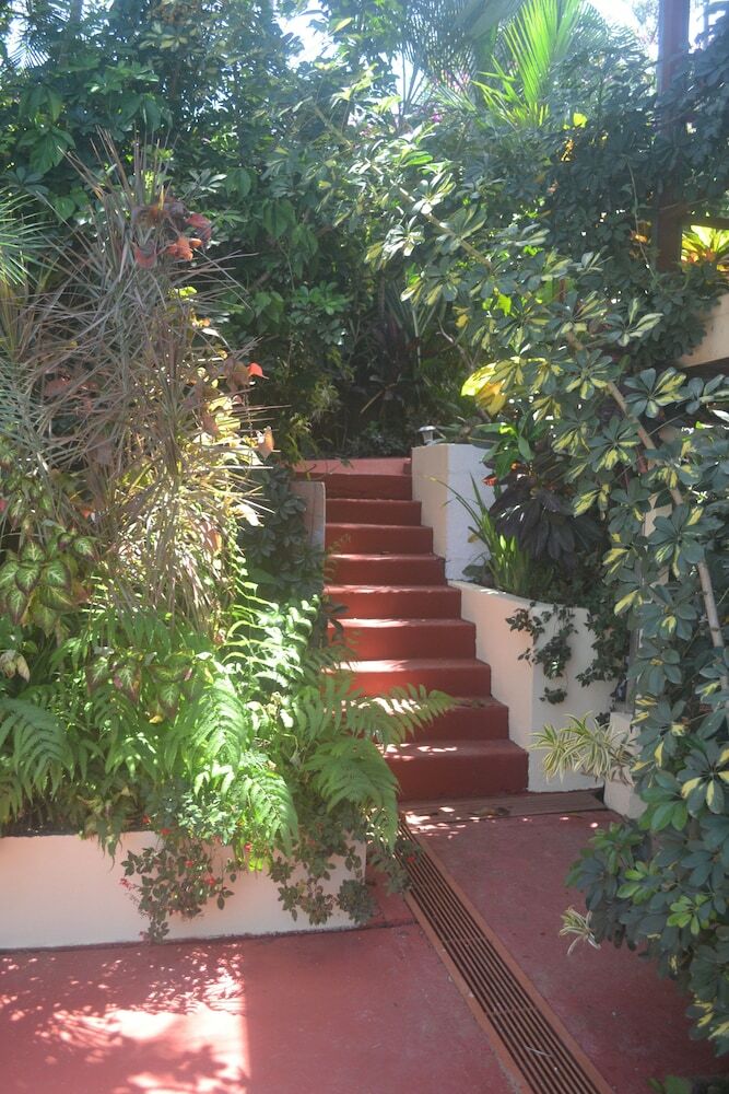 Bed & Breakfast Eden Atenas