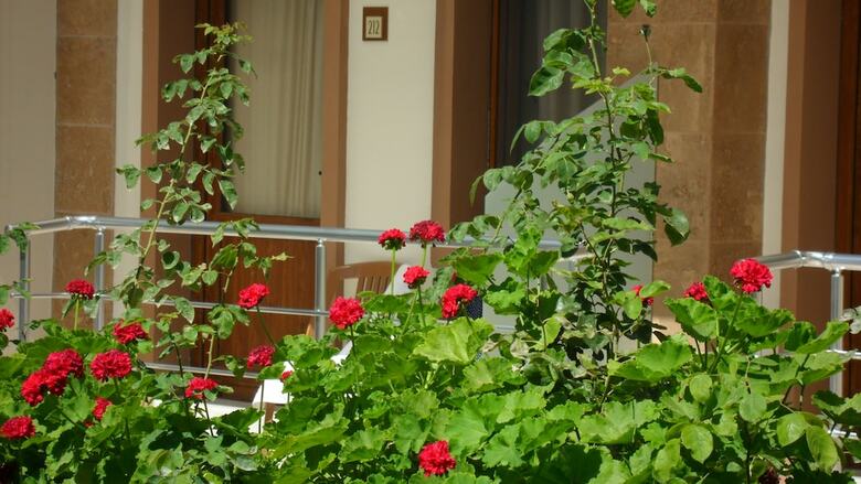 Hotel Ozukara 1 Apart