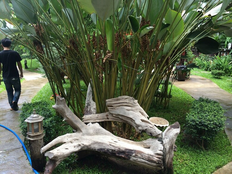 Hotel The Sylvana Pai Boutique Resort