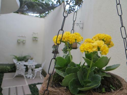 Nature Paradise B&B