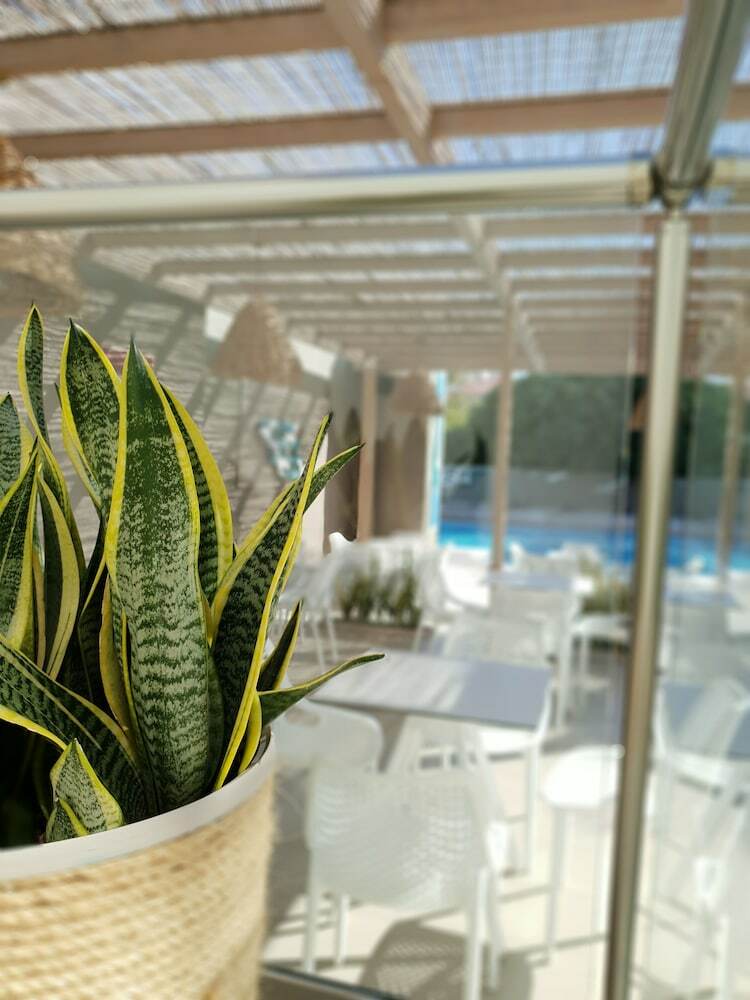 Europa Hotel