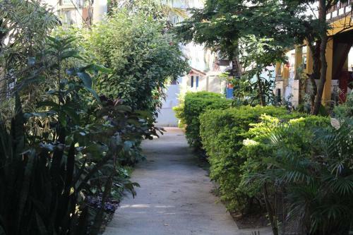Apartment Ilha Da Gig�ia
