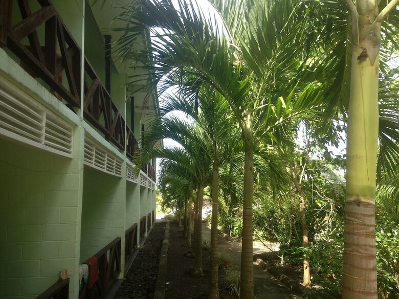 Hotel Faofao Beach Fales
