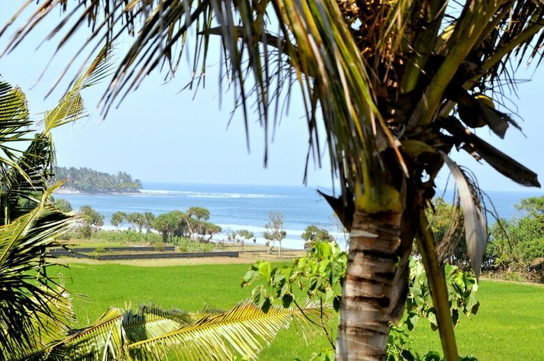 Hotel Dikaloha Medewi Surfcamp