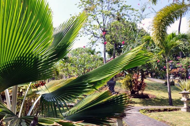 Hotel Puri Mangga Sea View Resort & Spa