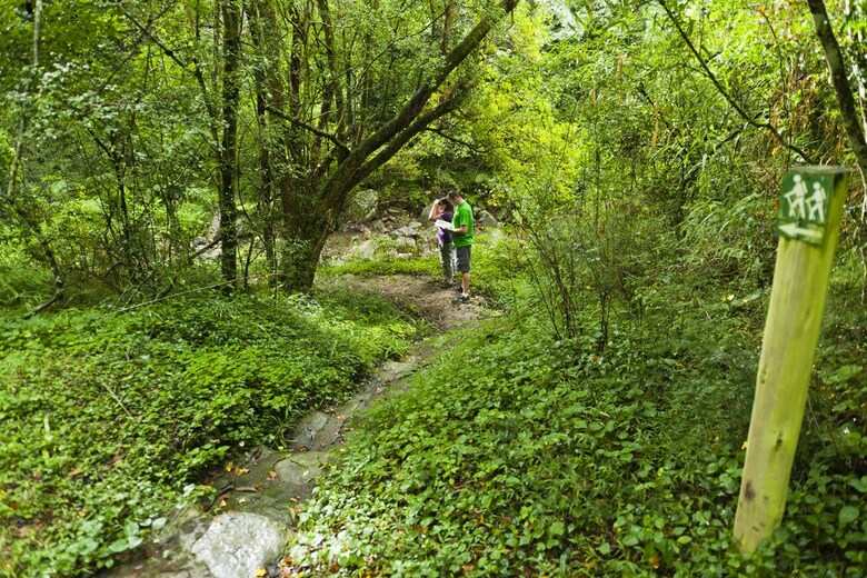 Posada Rockwood Lodges