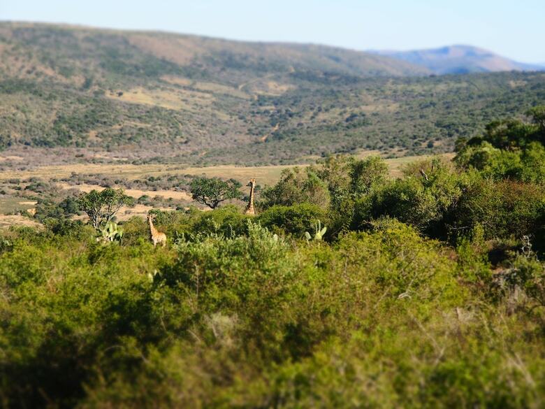 Posada Pure Nature Familodge