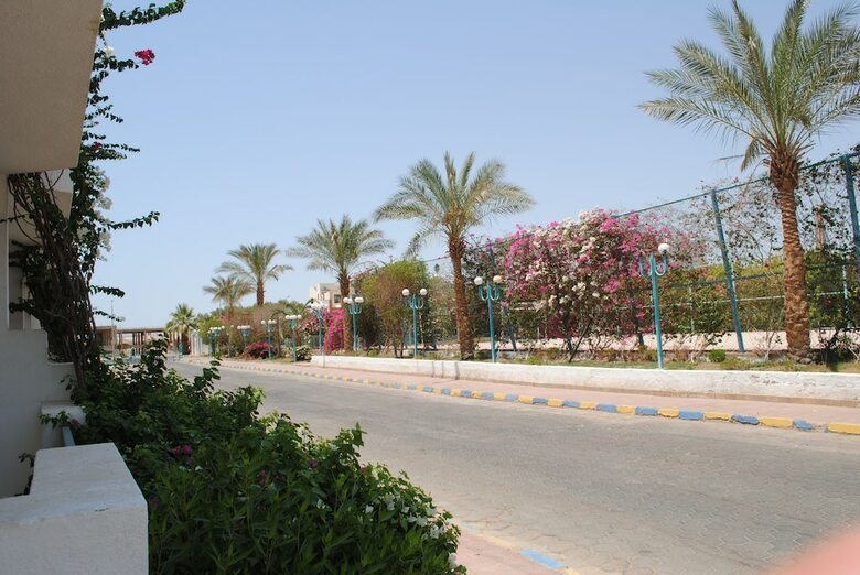 Hotel Sharm Cliff Resort