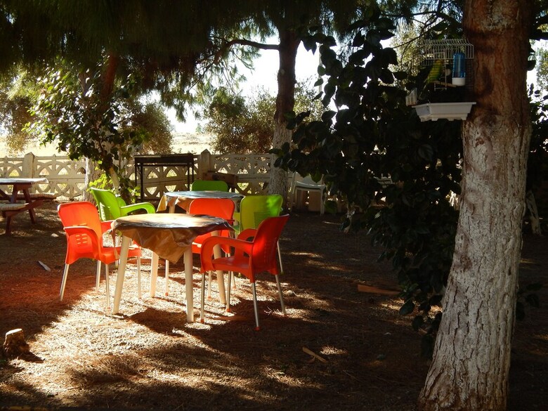 Hotel Koru Beach Club