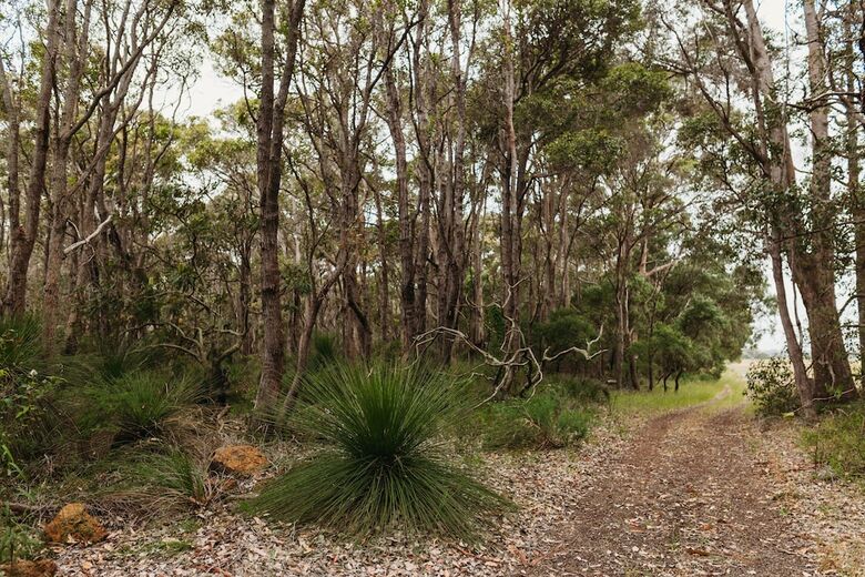 Margaret River Holiday Cottages
