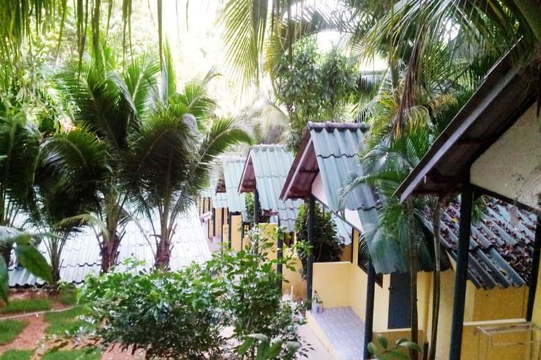 Hotel Island Lodge