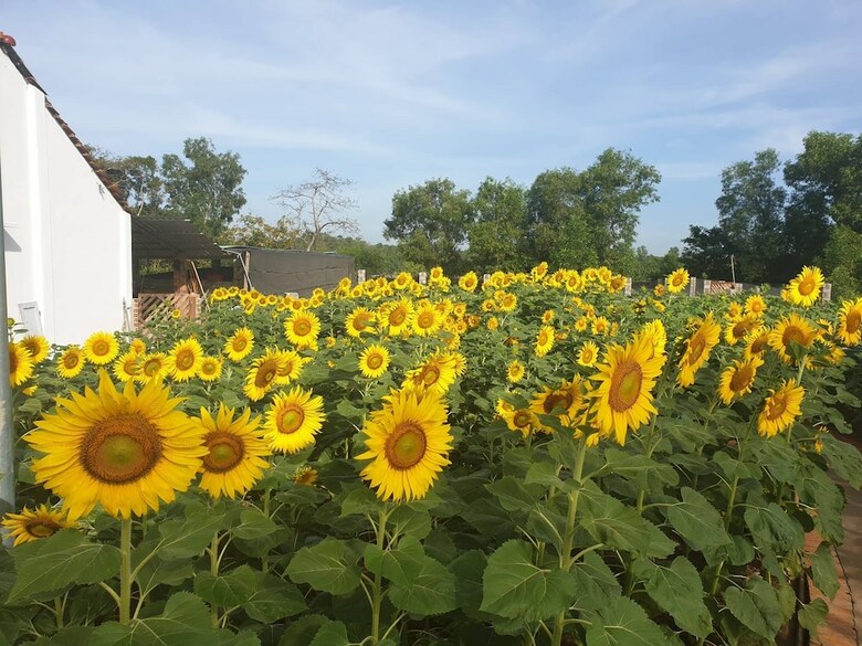 Hotel Hodota Resort Center