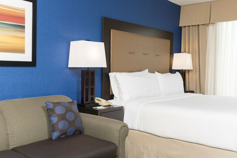 Hotel Holiday Inn Chicago - Elk Grove