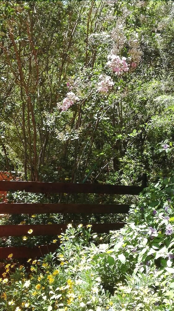 Woodland Gardens