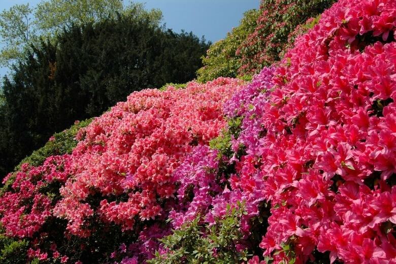 Il Montesino Bed And Breakfast