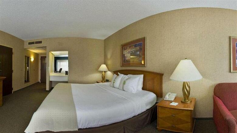Hotel Holiday Inn Rapid City-rushmore Plaza