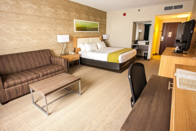 Hotel Holiday Inn Rapid City-rushmore Plaza