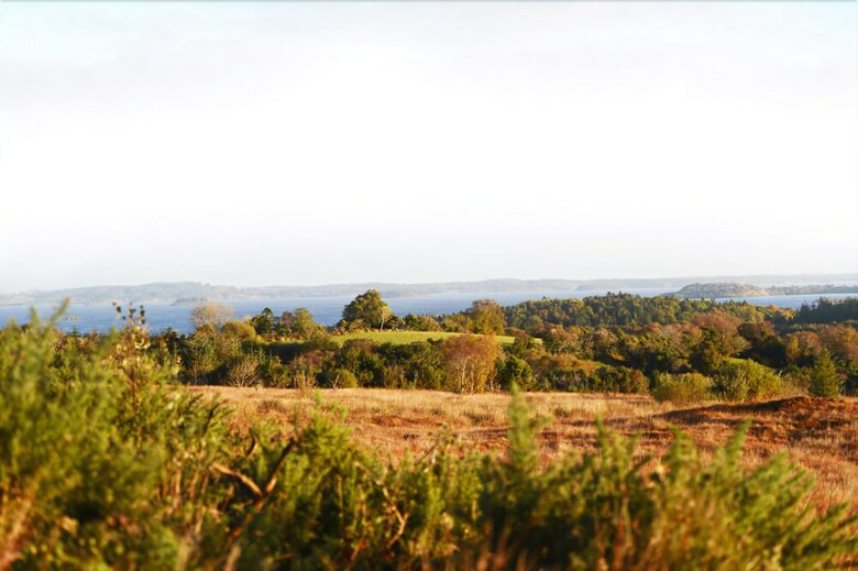Agroturismo Screebe House