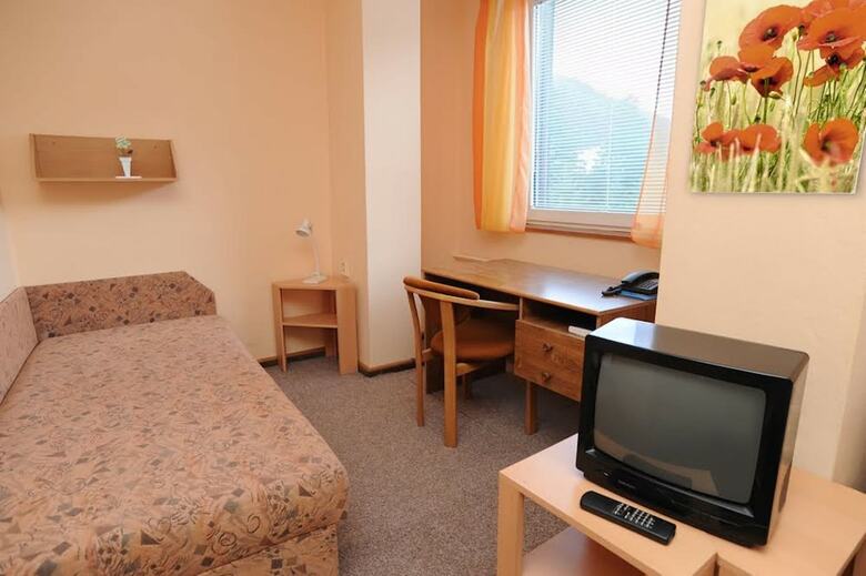 Hotel Borov� Siho?